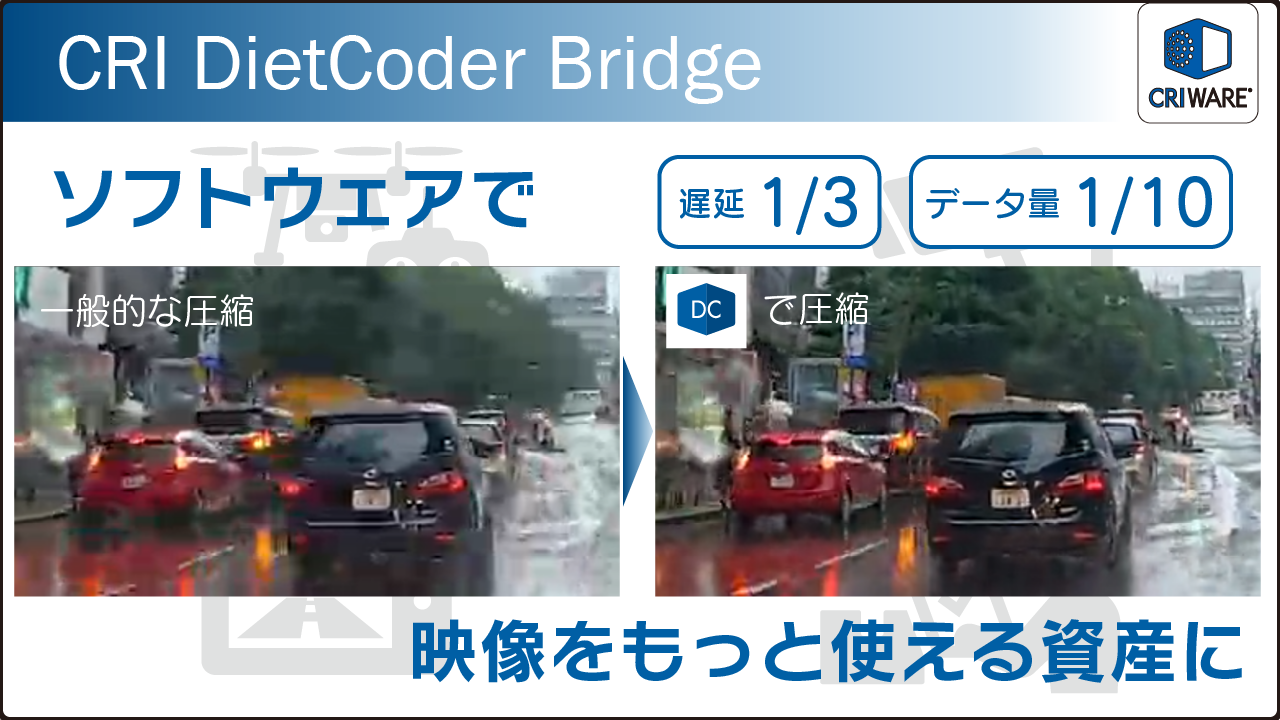 CRI DietCoder Bridge
